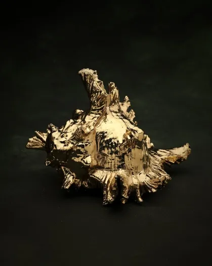 Gold-Dipped Conch Shankh