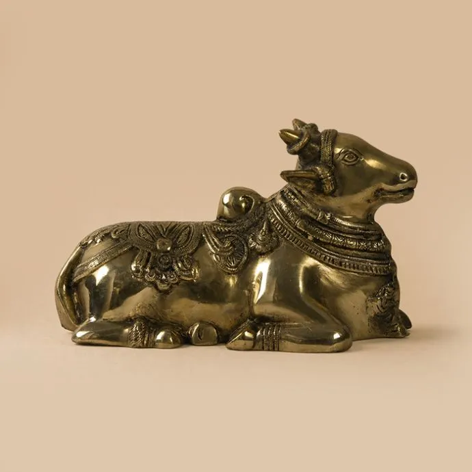 The Divine Nandi 