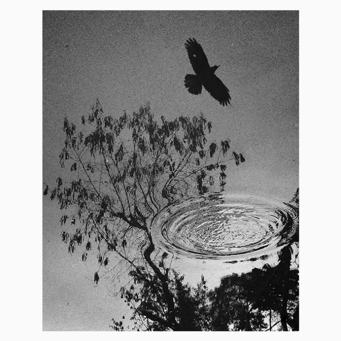 Untitled #1