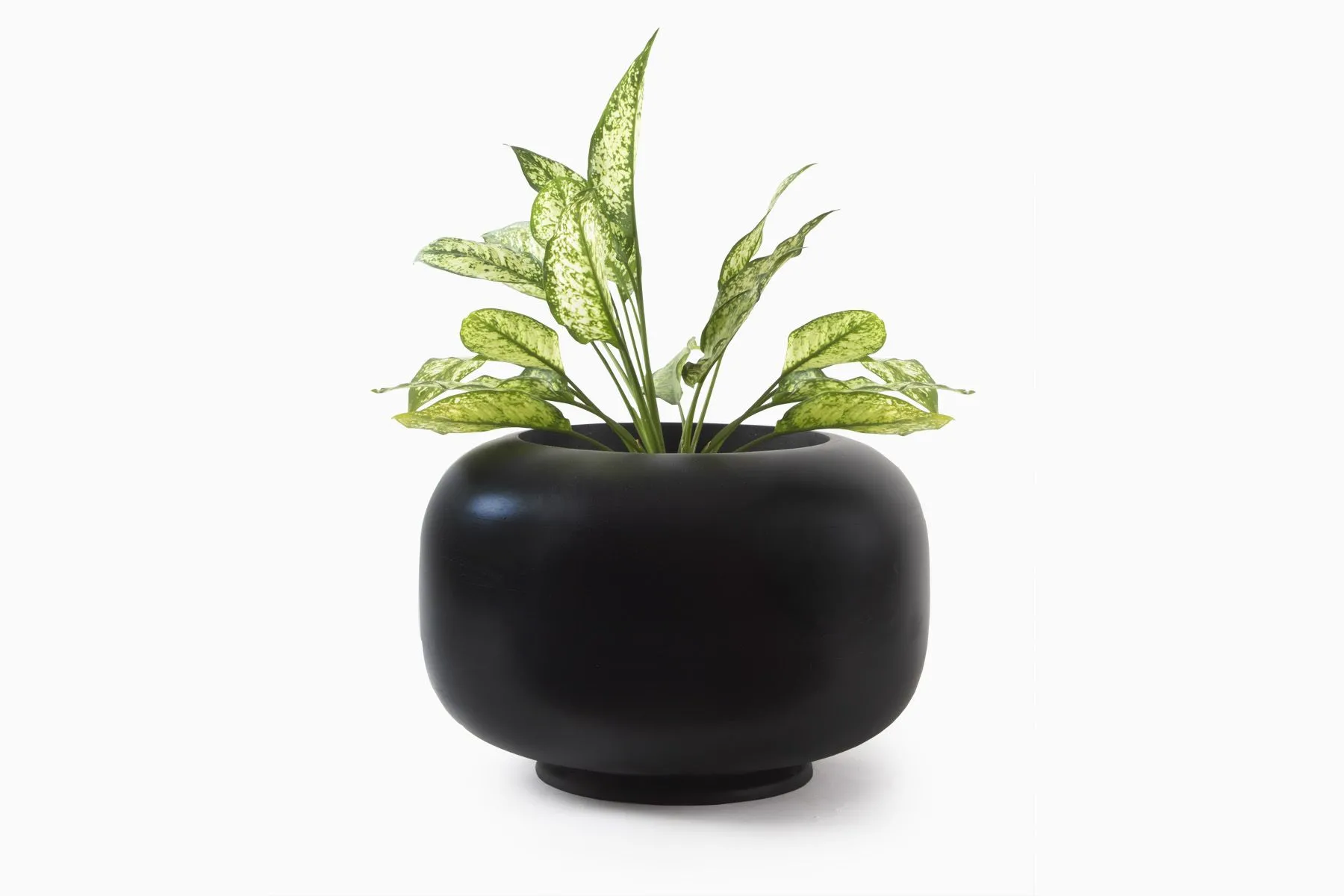 Dido Planter | Rare | The House of Things