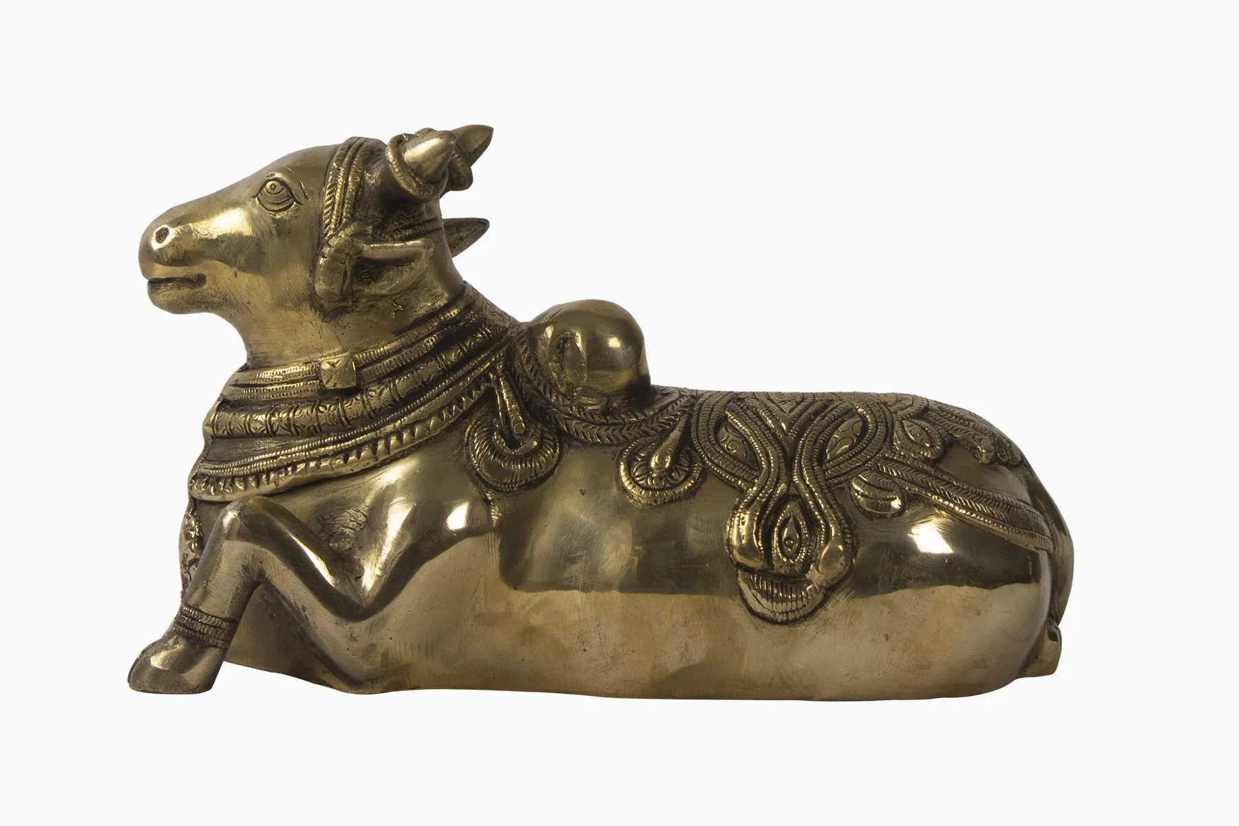 The Divine Nandi | Rare | The House of Things