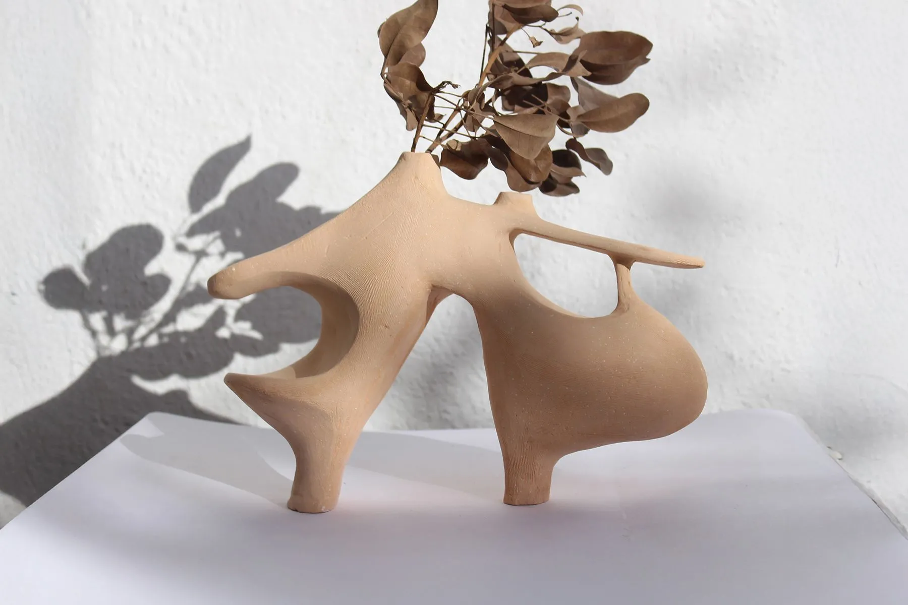 Pas Des Deux - Ballet of 2 Vases| Muscellaneous | The House Of Things