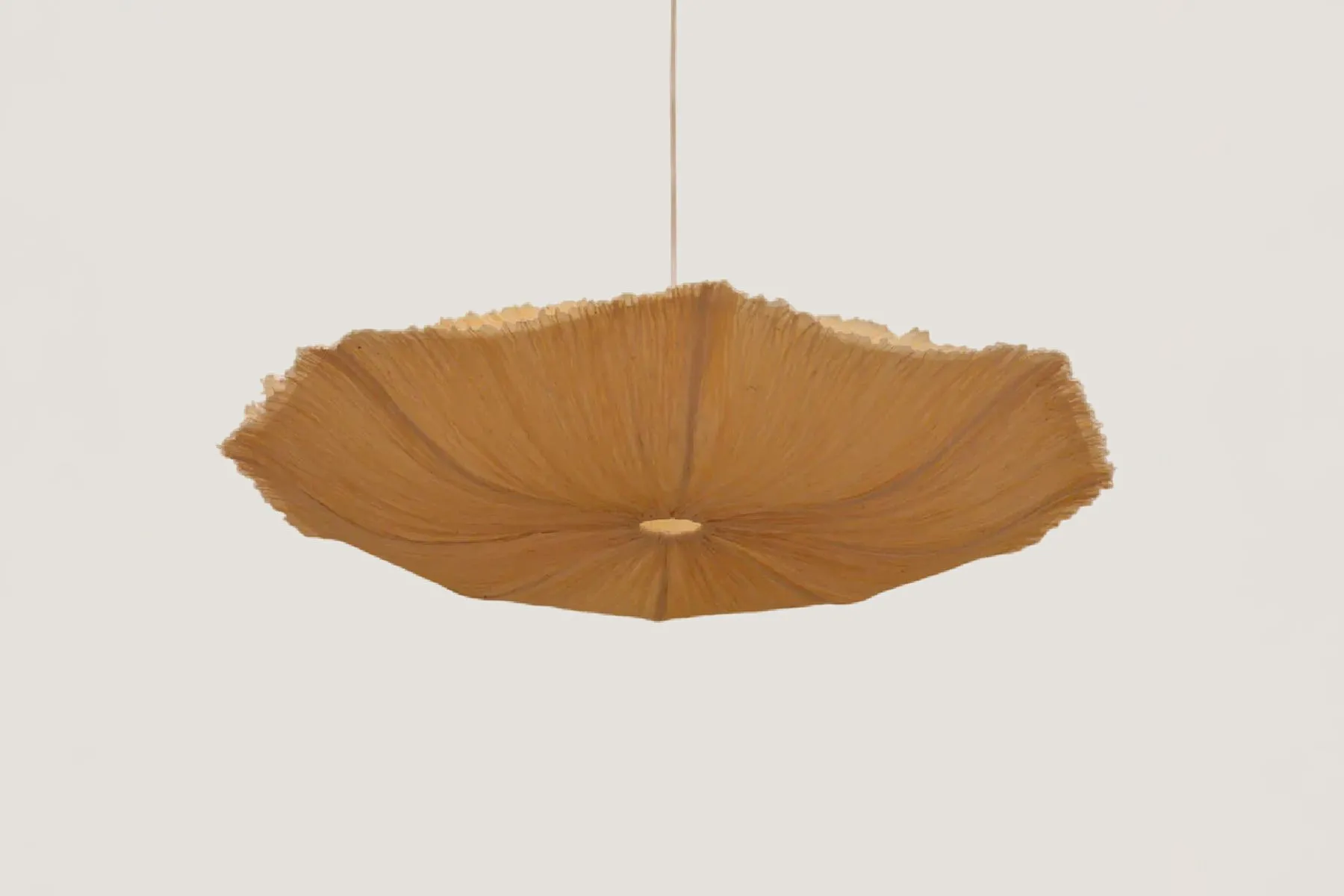 Oyster Mushroom Pendant Lamp| Oorjaa | The House Of Things