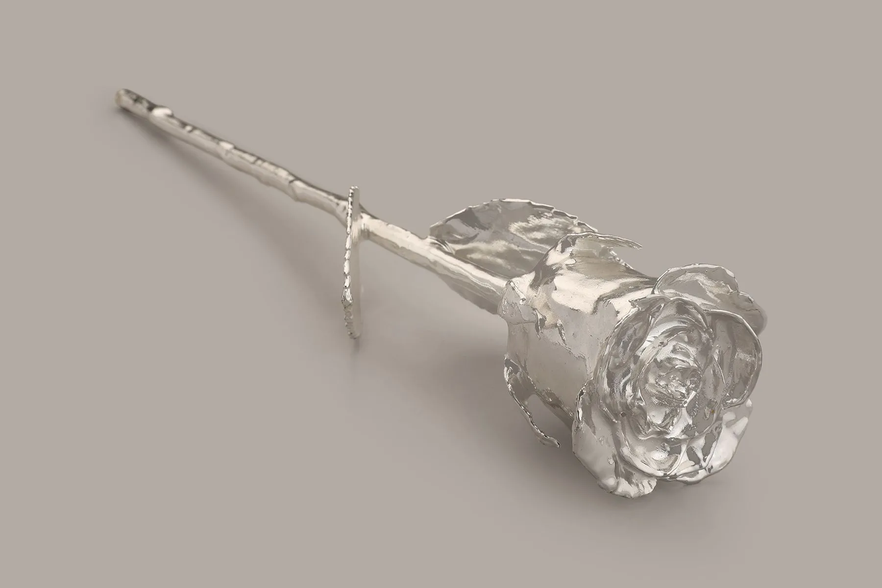 Rose | The Juliet Rose | The House of Things