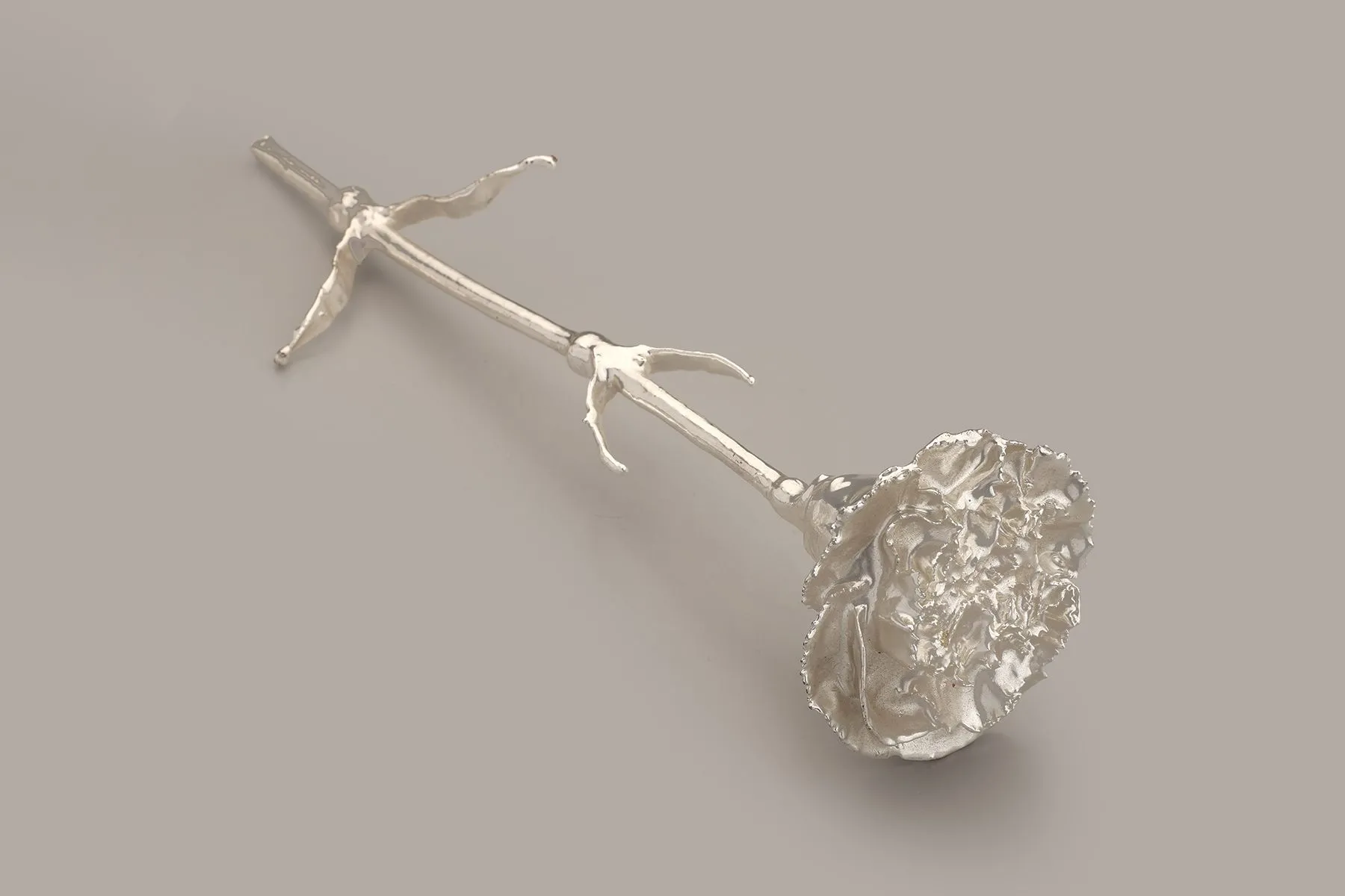 Carnations | The Juliet Rose | The House of Things