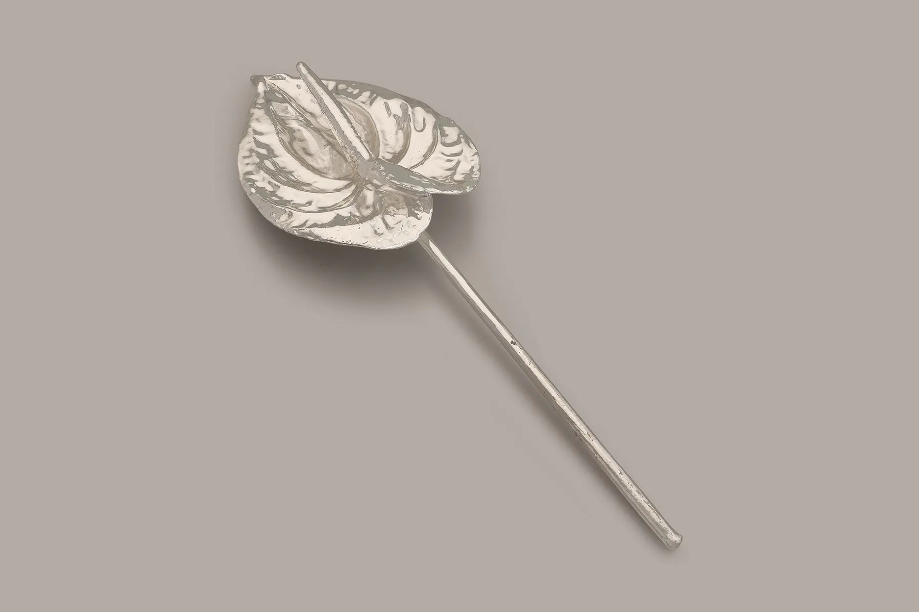 Anthuriums | The Juliet Rose | The House of Things