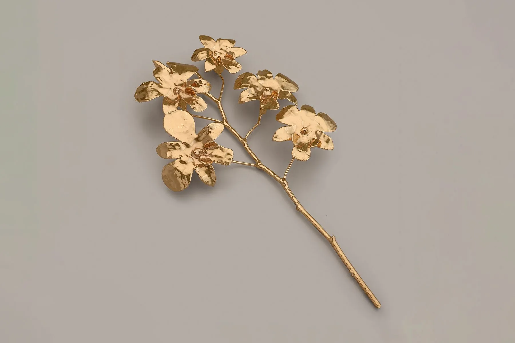Orchid Stem | The Juliet Rose | The House of Things
