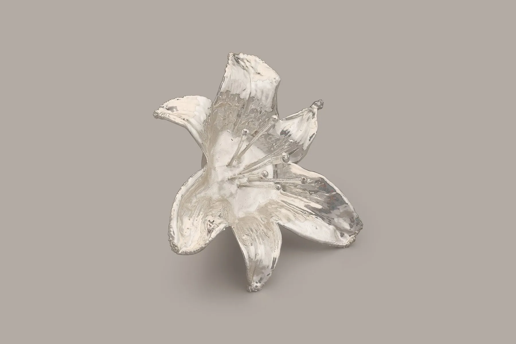 Lily | The Juliet Rose | The House of Things
