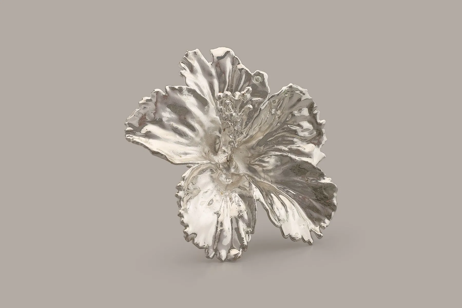 Hibiscus | The Juliet Rose | The House of Things