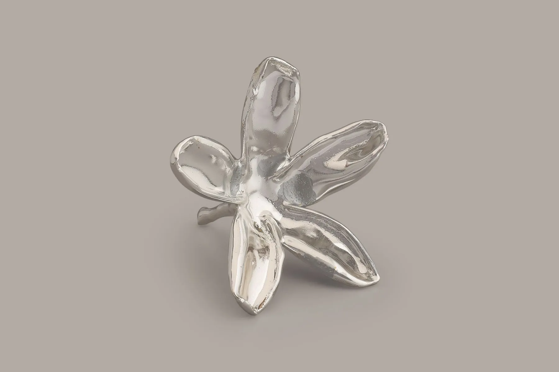 Champa | The Juliet Rose | The House of Things