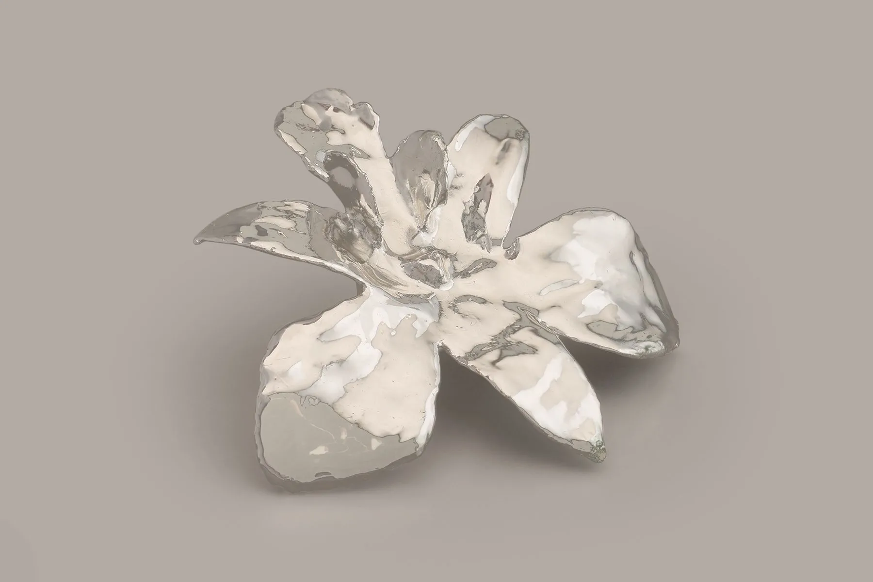 Orchid | The Juliet Rose | The House of Things