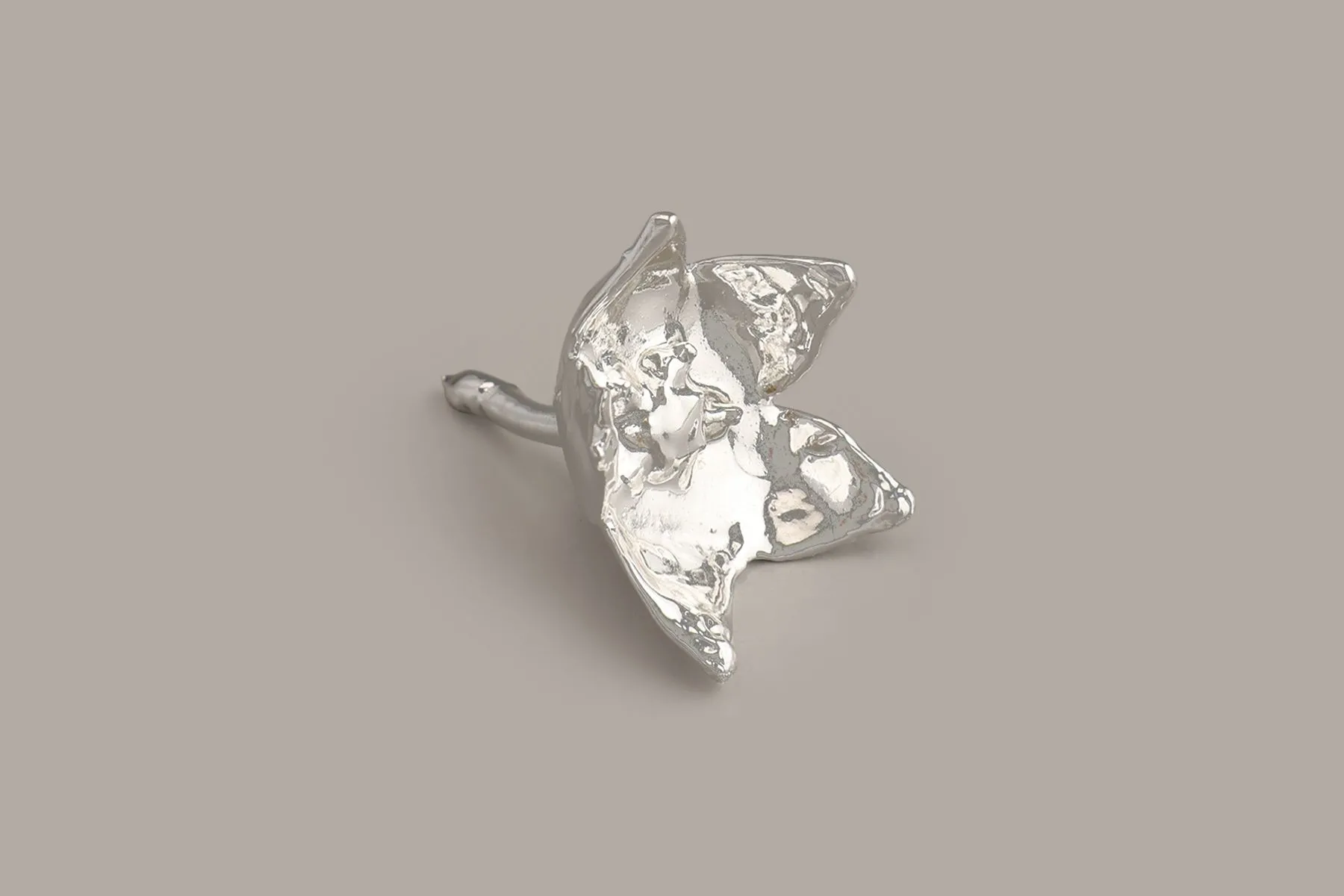 Mogra | The Juliet Rose | The House of Things