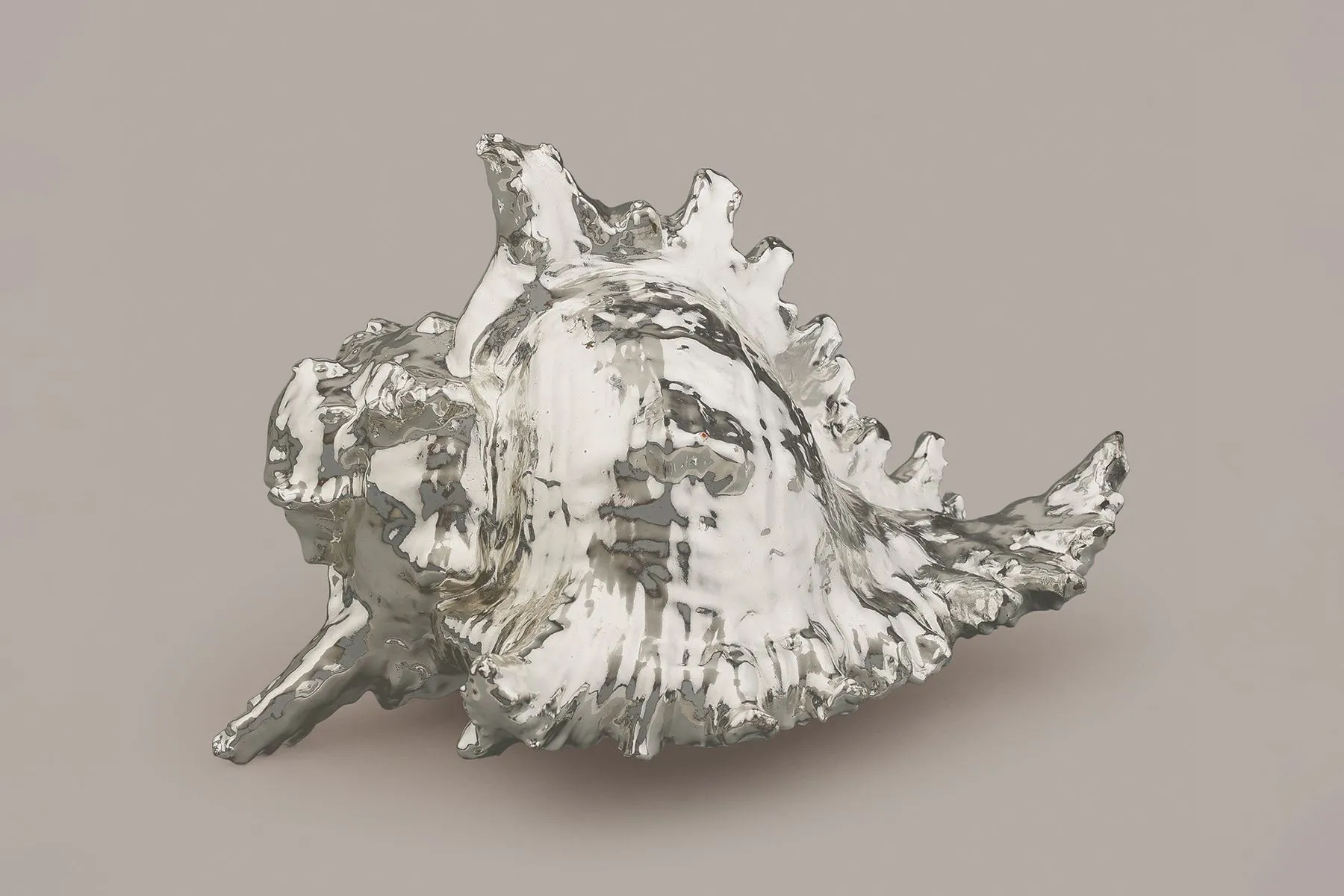 Conch Shankh | The Juliet Rose | The House of Things