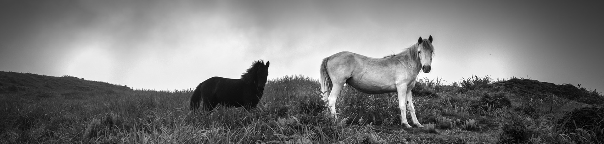 Capturing Unusual Landscapes and Portraits by Jayanta Roy | The House of Things